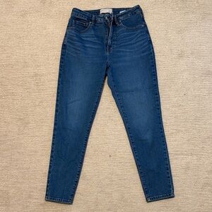 Everlane High-Rise Skinny Jeans in Blue